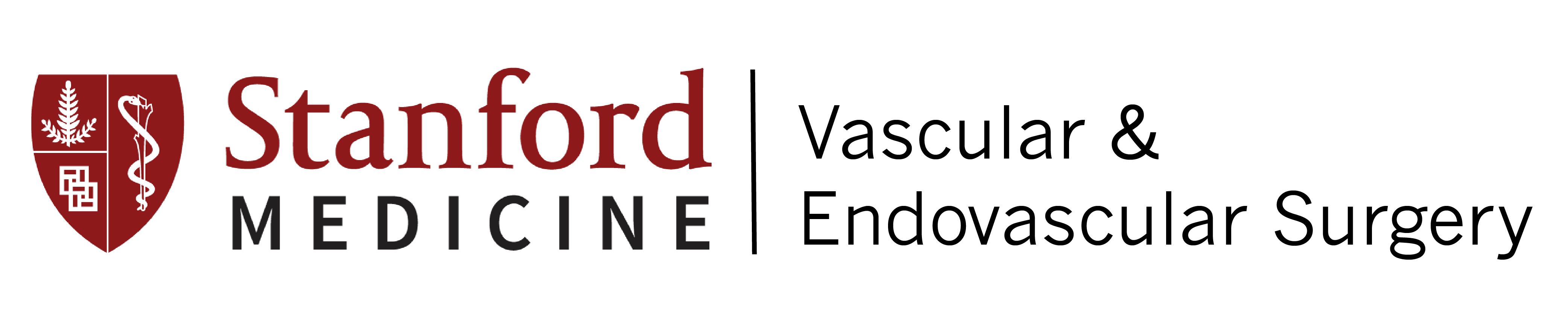 Stanford Logo Vascular Surgery fond blanc-2